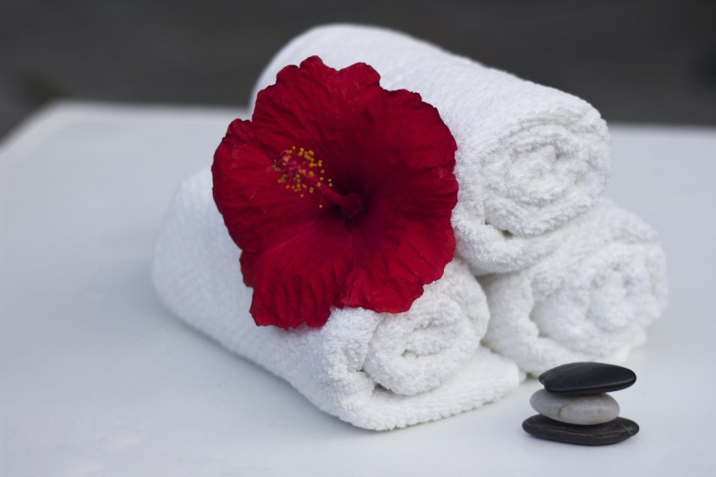 hotel-PUGET THENIERS-min_towel_hibiscus_clean_care_salon_spa_white_bath-869834